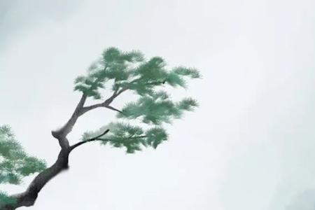 醉张少府朗读