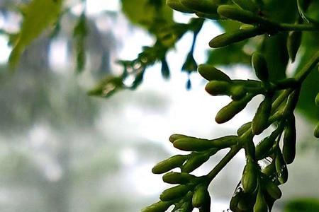外面小雨淅淅沥沥的下一句