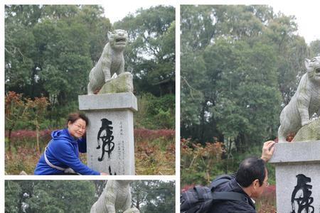 一山容二虎的意思