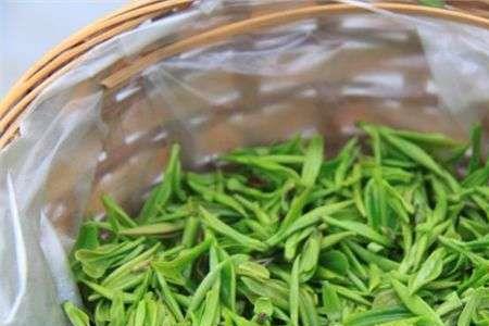 碧玉剑茶叶属于什么茶