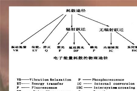 为什么激发态不稳定