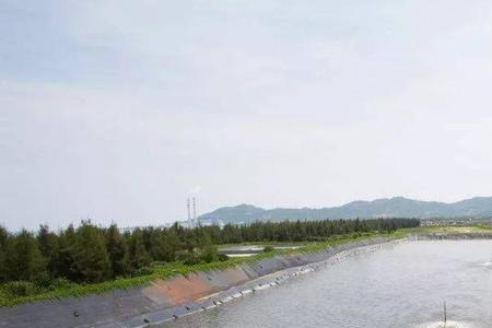 小区池塘适合养什么鱼