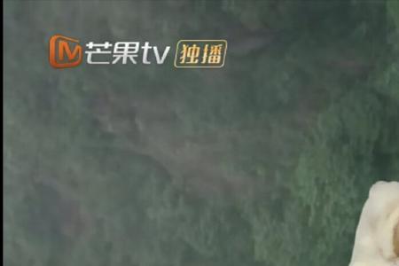 初月是什么梗