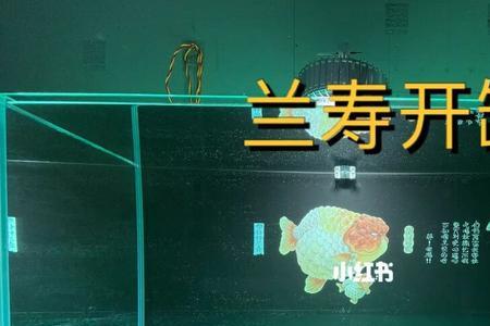 裸缸底部有必要贴纸吗