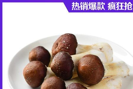 新鲜的姬松茸怎么晒干