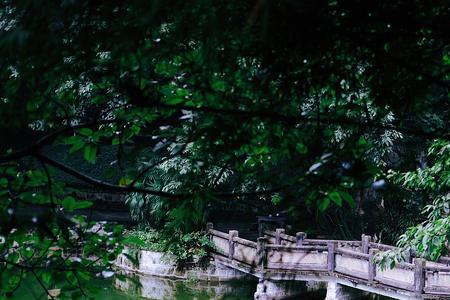 重庆鹅岭公园有什么可以耍