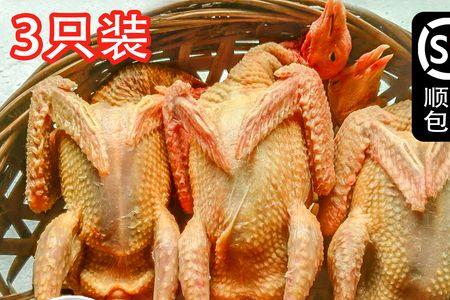 跑江湖烤白鸽烤箱做法