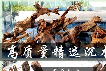鱼缸放几个沉木