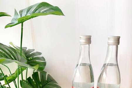 苹果泡酒最多能放多长时间