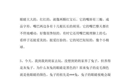 关于小兔子的笑话