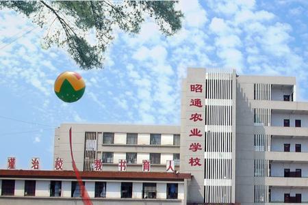 邵阳市昭阳学校介绍