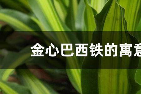 贫时得铁犹胜于金出自哪里