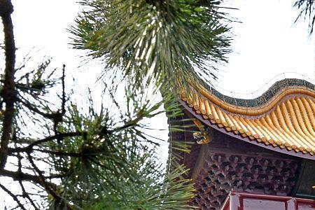 城陵矶属于云溪还是岳阳楼区