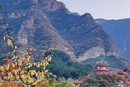 药师圈的gcp证书靠谱吗