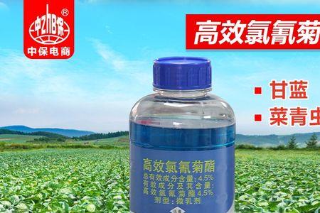 拟除虫菊酯对蚜虫效果好吗