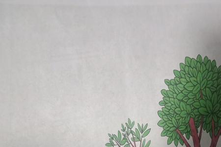大树和小树的不同之处