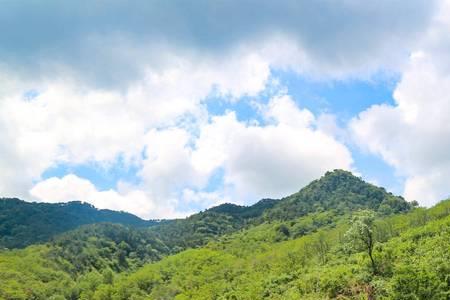 临沂十大必住山上民宿