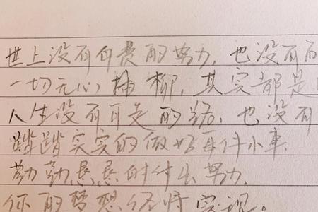 勤勤恳恳后面接什么
