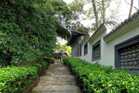 自贡逸趣园门票