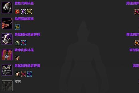 盗贼p1阶段毕业配装