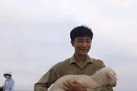 山海情范帅奇演的哪个角色