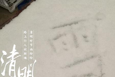 18年清明节前一天沈阳下雪了吗