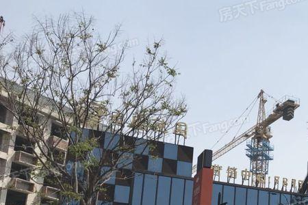 临沂龙盛乾园为什么很贵