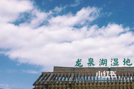 龙泉湖湿地公园的水哪来的