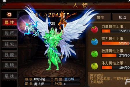 奇迹世界法师怎么加点