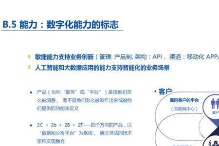 关键能力包括哪两个方面的能力