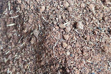 茶籽清塘好多泡沫正常吗