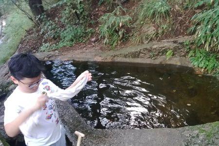 山里的水可以用吗