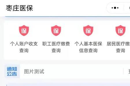 枣庄市医保怎么查询