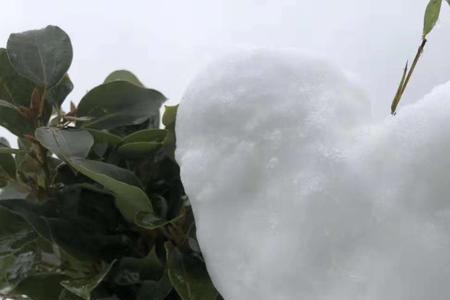 考试前下了一场大雪寓意是什么