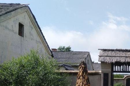 闯关东朱家大院为啥被烧了