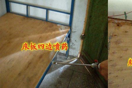 臭虫会咬烂蚊帐吗