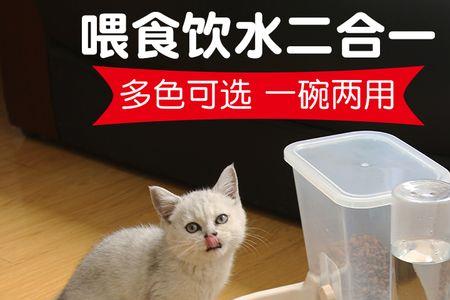 怎么阻止猫扒拉自动喂食器