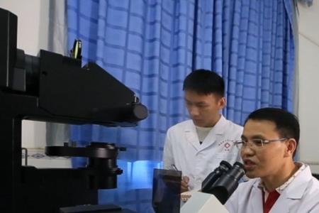 本科大四下学期还留校吗