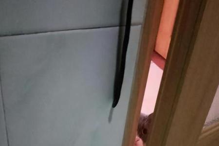 一刮风防盗窗有好大风声怎么办