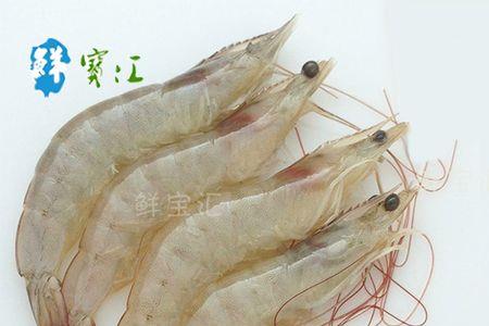 野生明虾怎么辨别