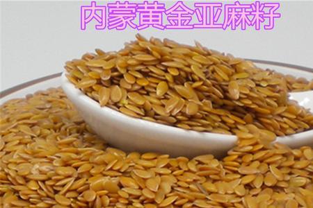 亚麻籽是油菜籽吗