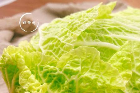 阜新大白菜秋天啥时候种好