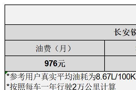 公务机一公里油耗多少