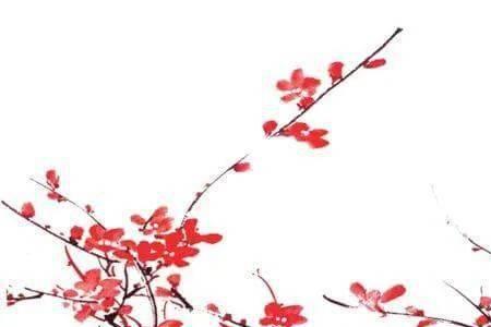 梅花怎么背诵