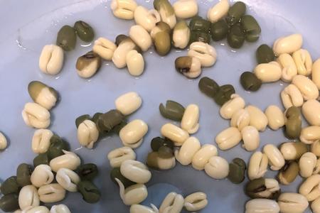 一颗绿豆有多少克