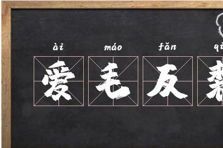 只知皮毛的成语