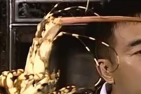 杨光的快乐生活哪一集没有条子