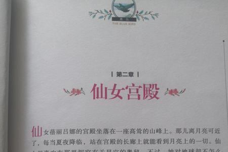 海滩上的仙女读后感