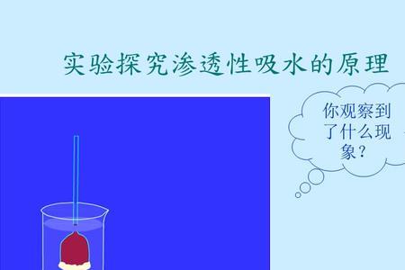 渗透作用的原理是什么