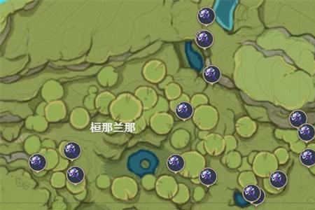 恒那兰纳种子种哪里